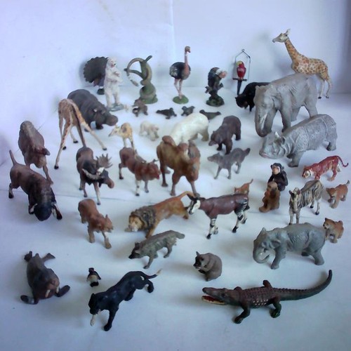 Sammlung von zoo und - 45,