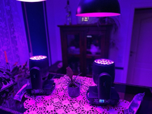 Betopper led rgbw moving - betopper,