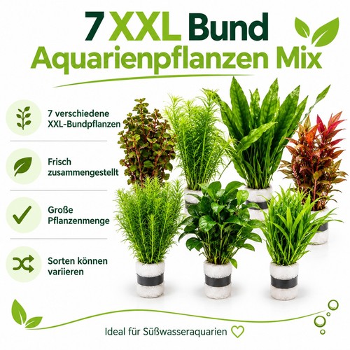 Xxl bund aquariumpflanzen - xxl,