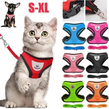 Katzen hundegeschirr mit - mit, leine