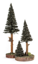 Nadelbäume mit Vogelhaus 20