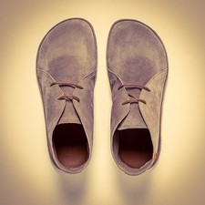 El Naturalista, BARE, Gr.  42