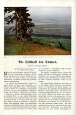 Die Heilkraft des Taunus Niederselters Fachingen Ems Homburg Soden von 1912