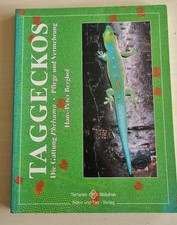 Taggeckos Die Gattung Phelsuma