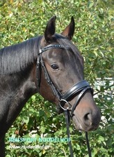 % Otto Schumacher Trense Tokyo