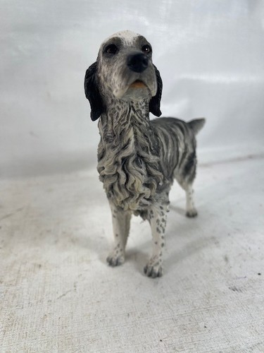 English setter border fine - setter,