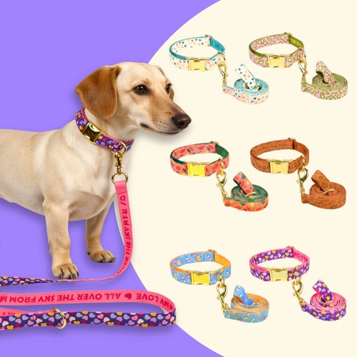 Verstellbares hundehalsband - verstellbares, &
