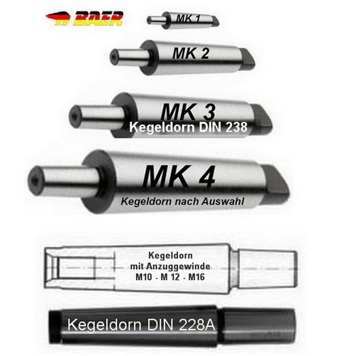 Kegeldorn morsekonus baer - kegeldorn,