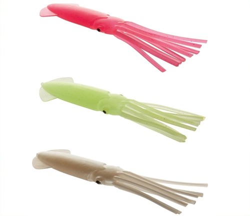 Cormoran seacor tintenfisch - cormoran,