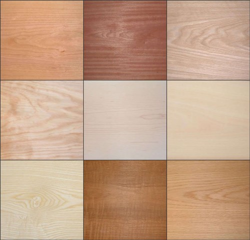 Eisen auf holzfurnier blatt - holzfurnier,