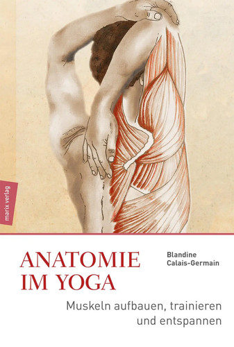 Anatomie yoga muskeln - yoga,