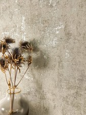 Tapete Vliestapete Taupe Beton