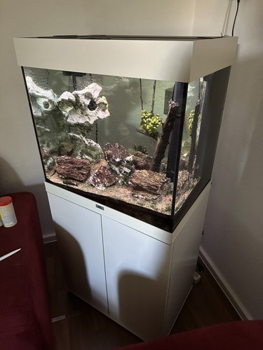 Juwel aquarium lido 120 - aquarium,