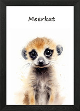 Erdmännchen Tier Safari