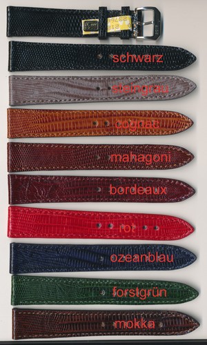 Echtes teju eidechsen - echtes, teju-eidechsen-leder