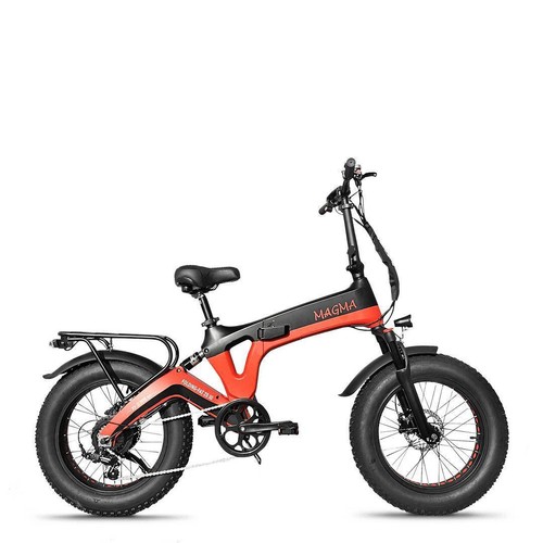 Elektrofahrrad fat bike - elektrofahrrad,
