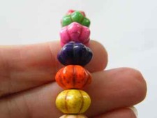 50 gemischte Kürbis Herbst