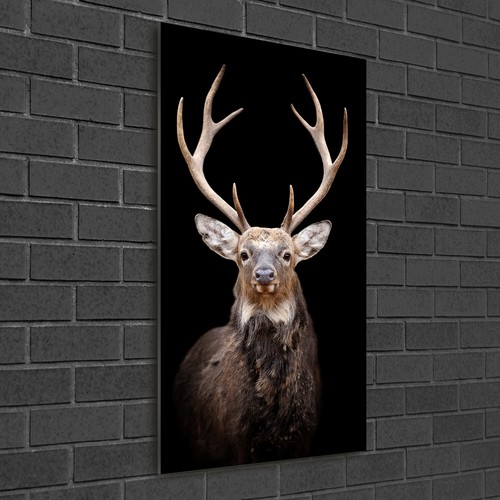 Wand bild kunstdruck aus - wand-bild,