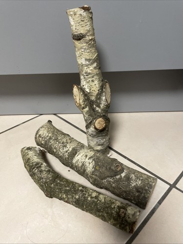 Holzstamm birkenholz deko - (2),