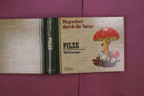 330836 haas hans - haas, wegweiser