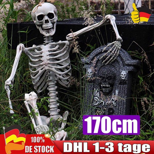 Skelett halloween lebensgroß - skelett,
