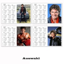 David Hasselhoff  +
