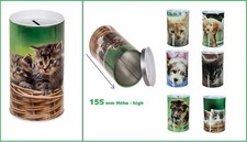 Katzen-Babys-Spardose-2-Kätzc