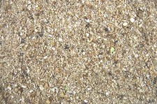 Basis Angel Futter Karpfen