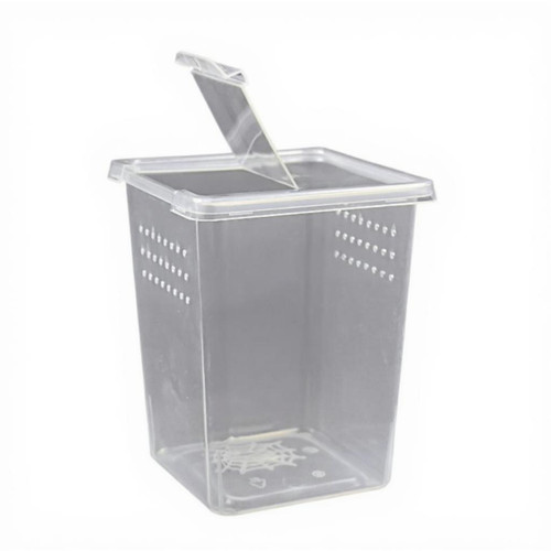 Amphibien zuchtbox set - amphibien,