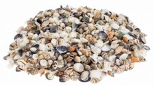 NaDeco Muschelmix small 0,5kg Bastelmuscheln Dekomuscheln Muscheln und Schnecken