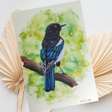 Elster aquarell - elster,