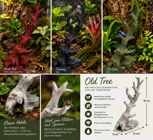 Old tree terrarium - #7,