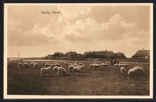 Oland / Hallig, Blick auf die