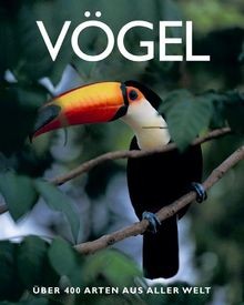 Vögel von parragon - vögel, verlag