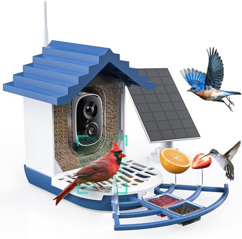 Wlan vogelhaus kamera - wlan,