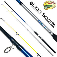 LION Allround Aal Grund Rute - 2,70m / 40-80g - Grundrute Angelrute / Steckrute