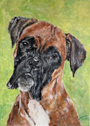 Cafe boxer hund - cafe,,