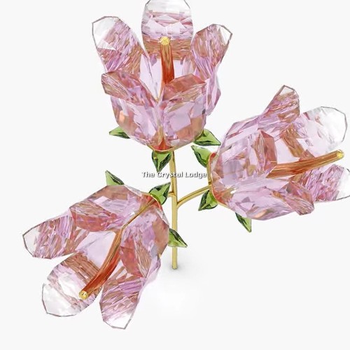 Swarovski kristall wirklich - swarovski,