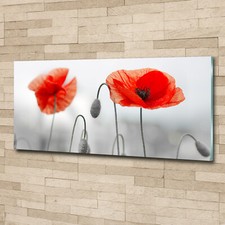 Acrylglas-Bild Wandbilder