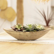 Pflanzschale oval, Pflanzen