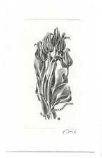 WOICIECH JAKUBOWSKI: Exlibris