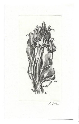 Woiciech jakubowski exlibris - woiciech,