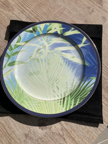 Rosenthal meets versace - rosenthal,
