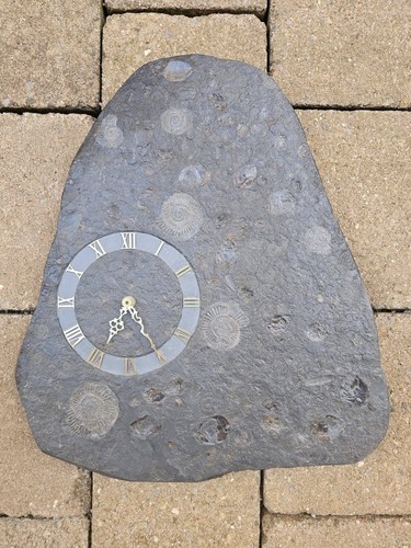 Fossilien uhr aus holzmaden - fossilien-uhr,