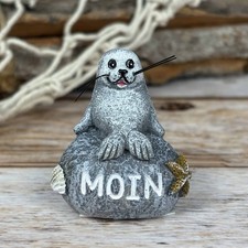 Kleine Robbe auf Stein MOIN