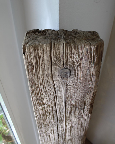 101 treibholz schwemmholz - 101, cm