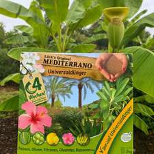 Bananendünger,Bananenbaum