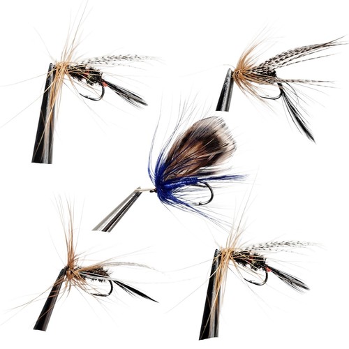 Nymphen trockenfliegen 5er set - nymphen,