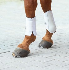 BUSSE Dressurgamaschen ACTIVE