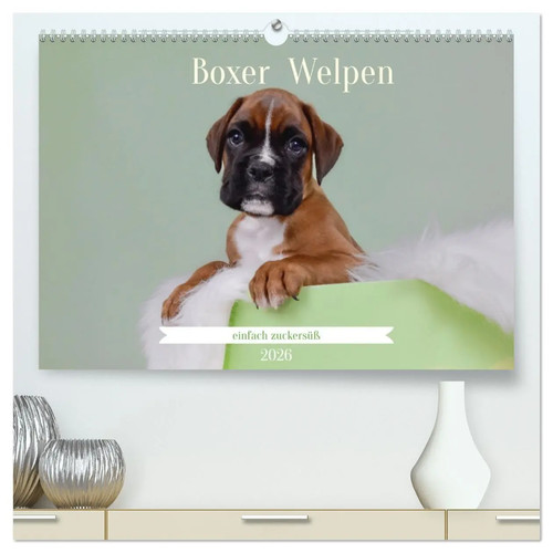 Yvonne janetzek boxer welpen - janetzek,